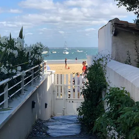 T4 8 Personnes 1ere Ligne Bassin D'arcachon